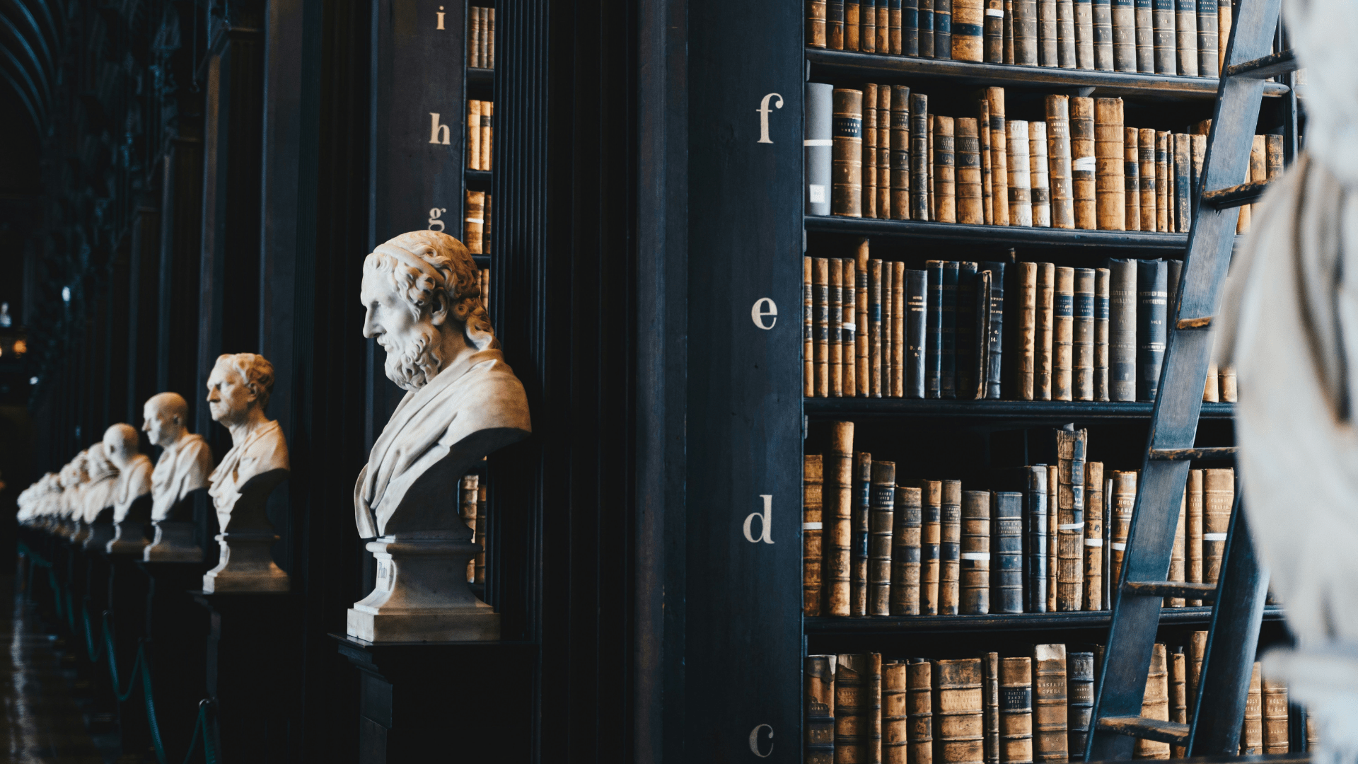 Historic European library interior with marble busts and shelves filled with old legal books, symbolizing tradition and knowledge of EU law.