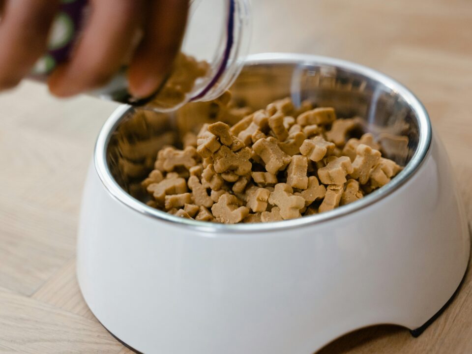 A close-up of a hand pouring small, tan, bone-shaped dog treats from a glass jar into a white pet bowl with a stainless steel interior, sitting on a light wooden floor.
