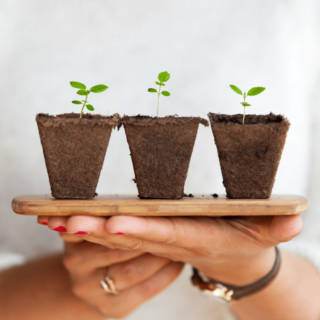 Woman holding green plants aa a symbol of sustainability in e-commerce.