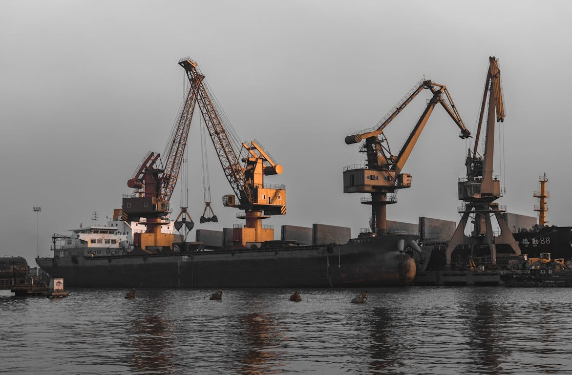 Big cranes in the port operating in logistics