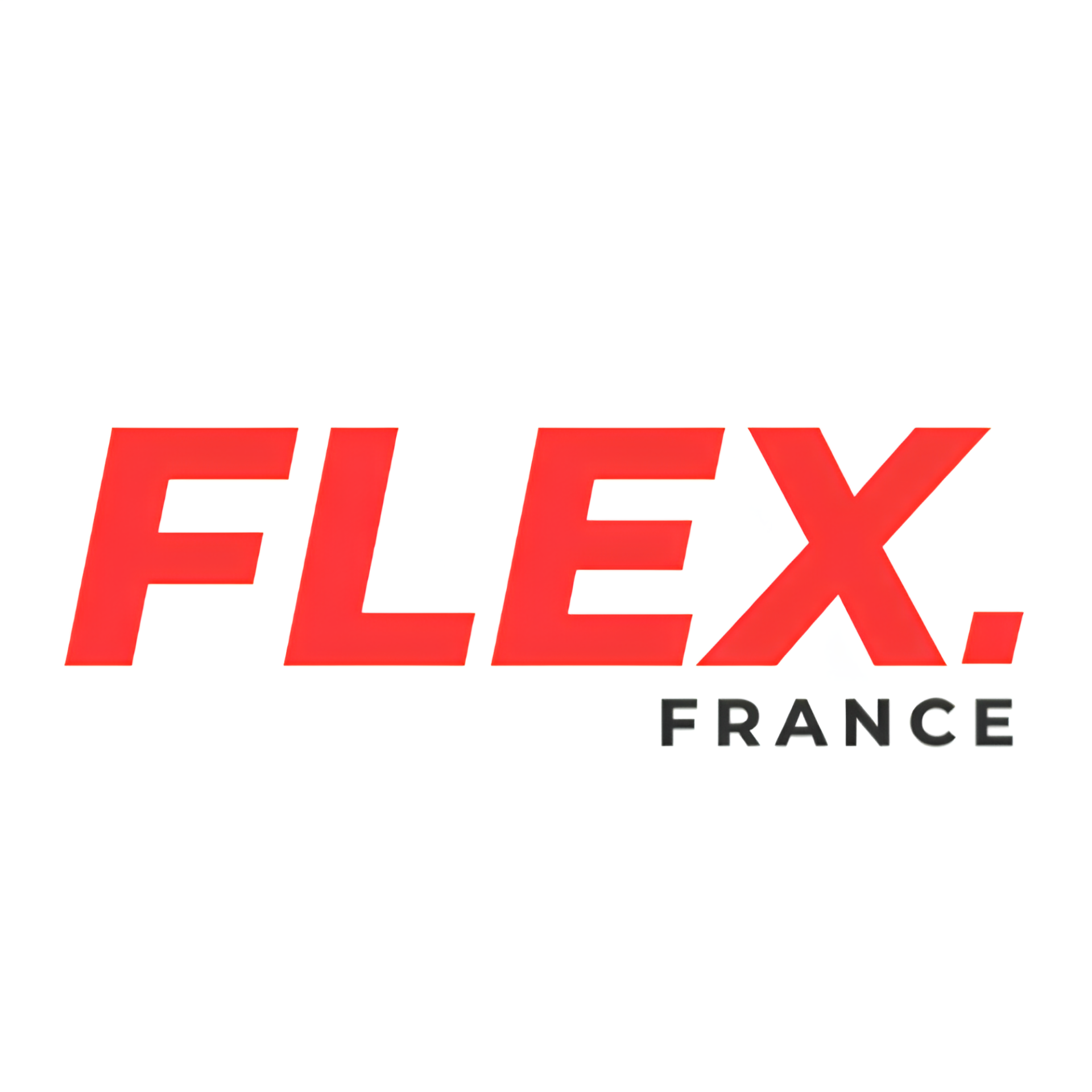 FLEX. France square official logo.