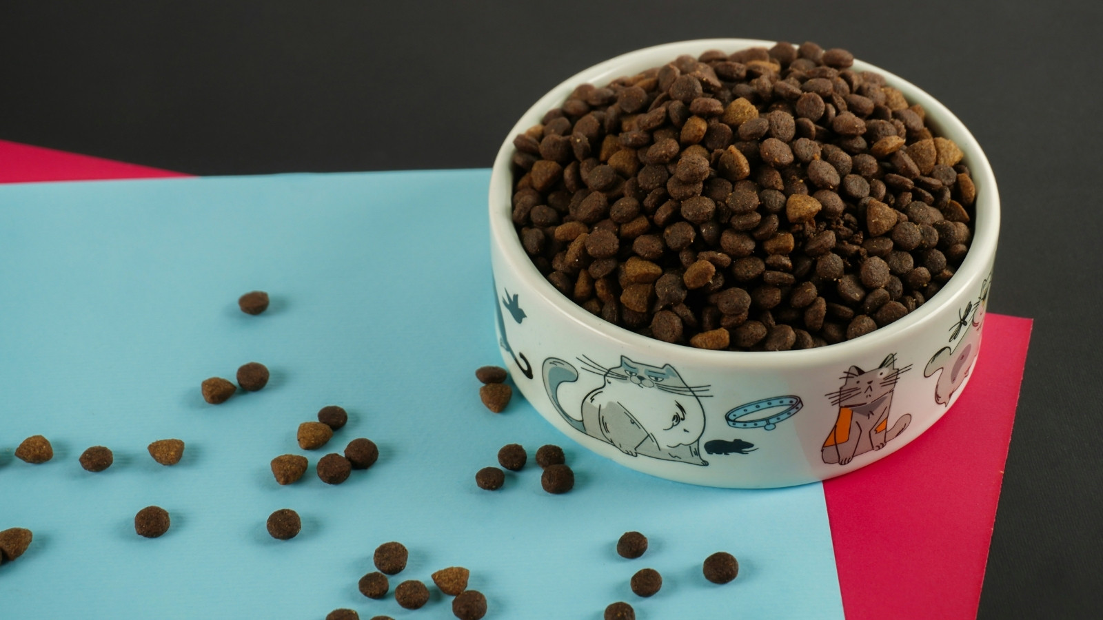 Dry pet food ready for distribution in EU fulfillment.